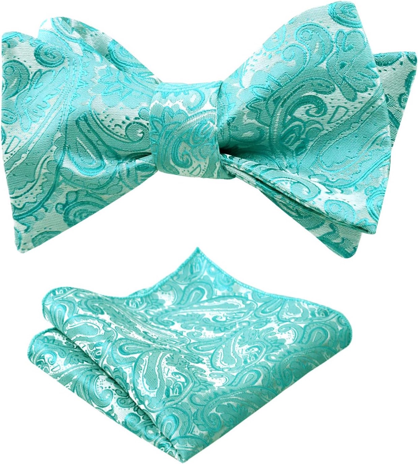 Alizeal Mens Paisley zelfgebonden strik en zak Square Set