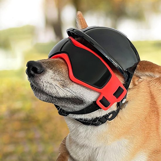 2 stuks hondenzonnebril en huisdierhelm set met hondenbril kleine hond motorfiets/fietshelm met oorgaten verstelbare hondenbril hoed voor puppy rijden — afbeelding 3