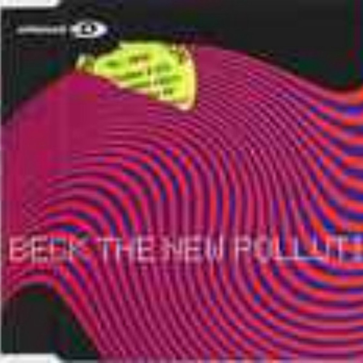 Beck - The New Pollution