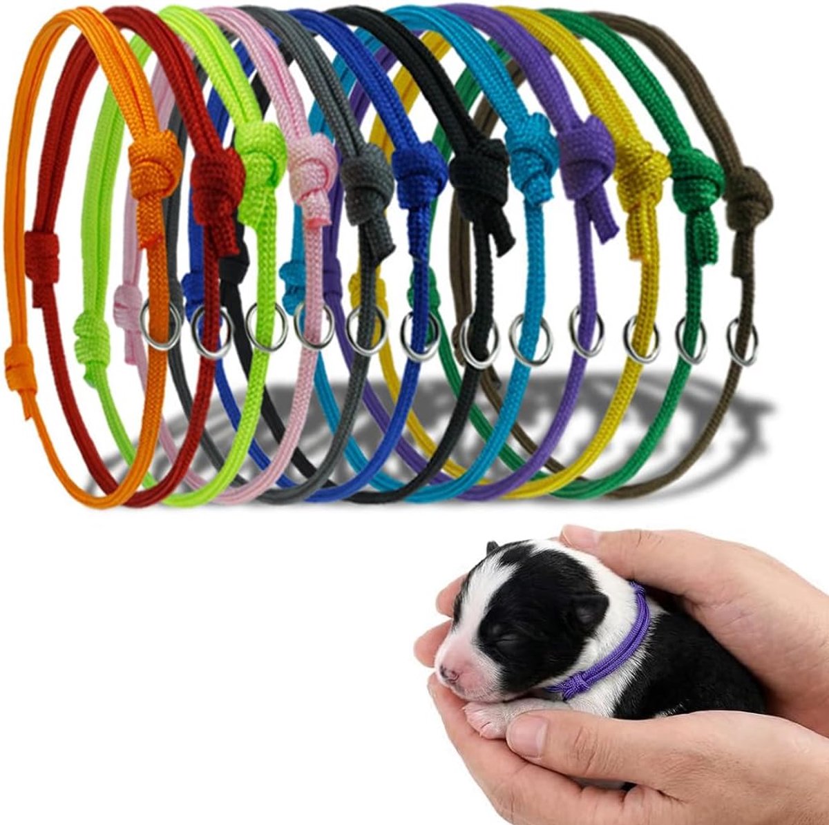 Basic hondenhalsbanden, 12 stuks, puppyhalsbanden, geboortehalsbanden voor kleine honden/puppy's, geschikt voor pasgeboren kittens, zacht polyester.