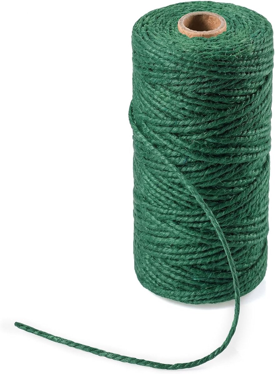 2 mm Jute Touw, 100 m Tuinieren Touw Natuurlijke, Groene Jute Koord, Tuinieren Touw voor Klimplanten, String Twine Sterk, Groen Jute Touw Dik, voor Knutselen, Planten, Geschenkverpakking
