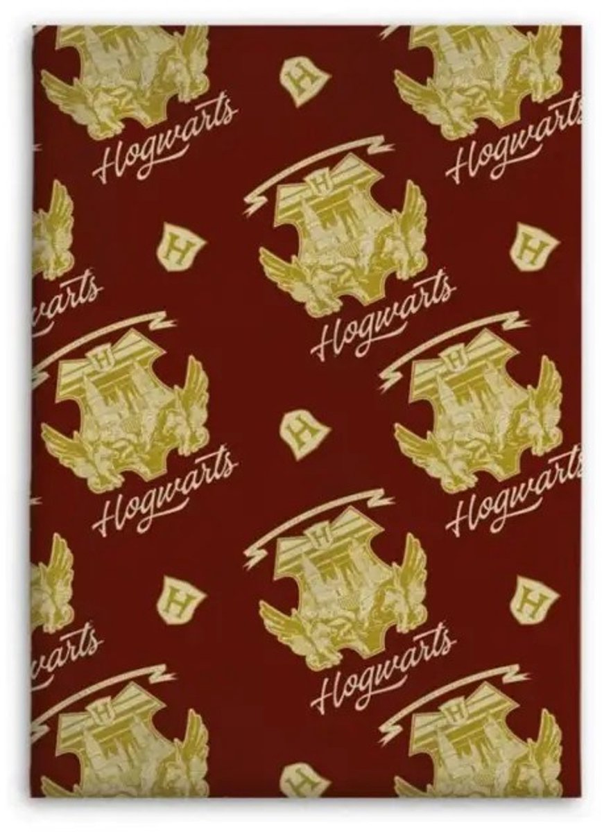 Harry Potter fleece plaid 110 x 150 cm - polyester Multicolor