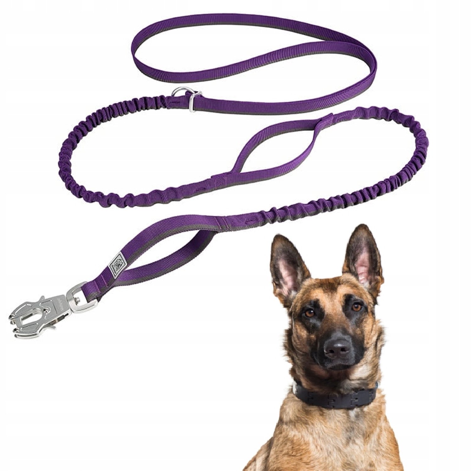 Winhyepet Loopband Hondentuigje Paars 2.7m met Schokdemper