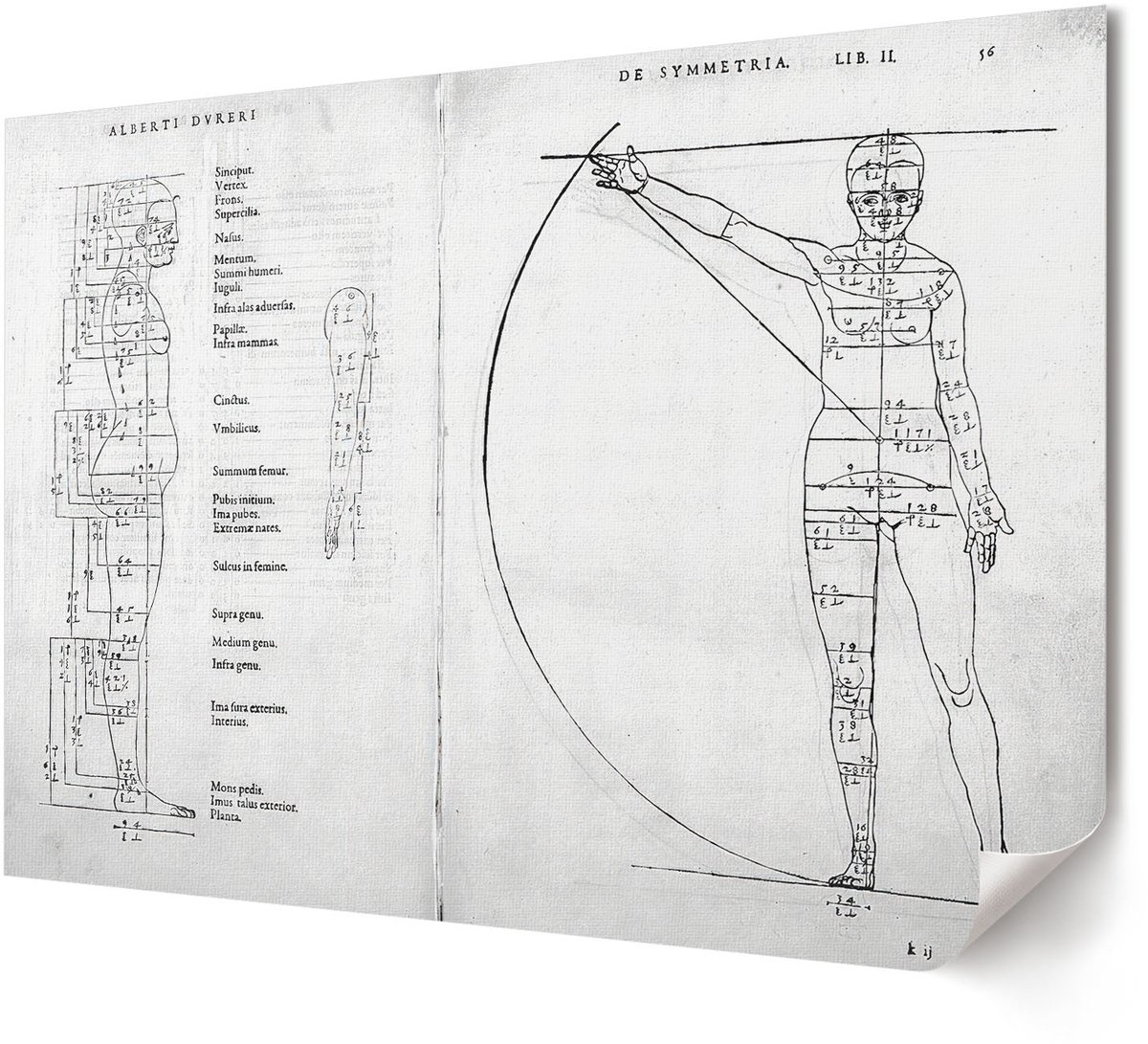 Coloray Polycanvas Wandposter - Japanse Den, Schilderen - A4 - Bruin Design - Rechthoek - Canvasposter - Woonkamer, Slaapkamer, Kantoor - Japanse