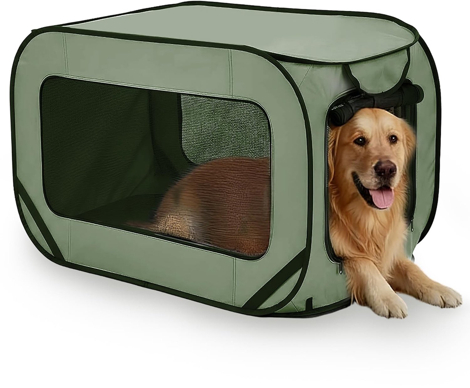 Hondenbox opvouwbaar - Transportbox voor honden/katten - Compact 94 x 53 x 53 cm - Inclusief draagtas - Tot 29,5 kg - Optimale ventilatie - Dierenbox