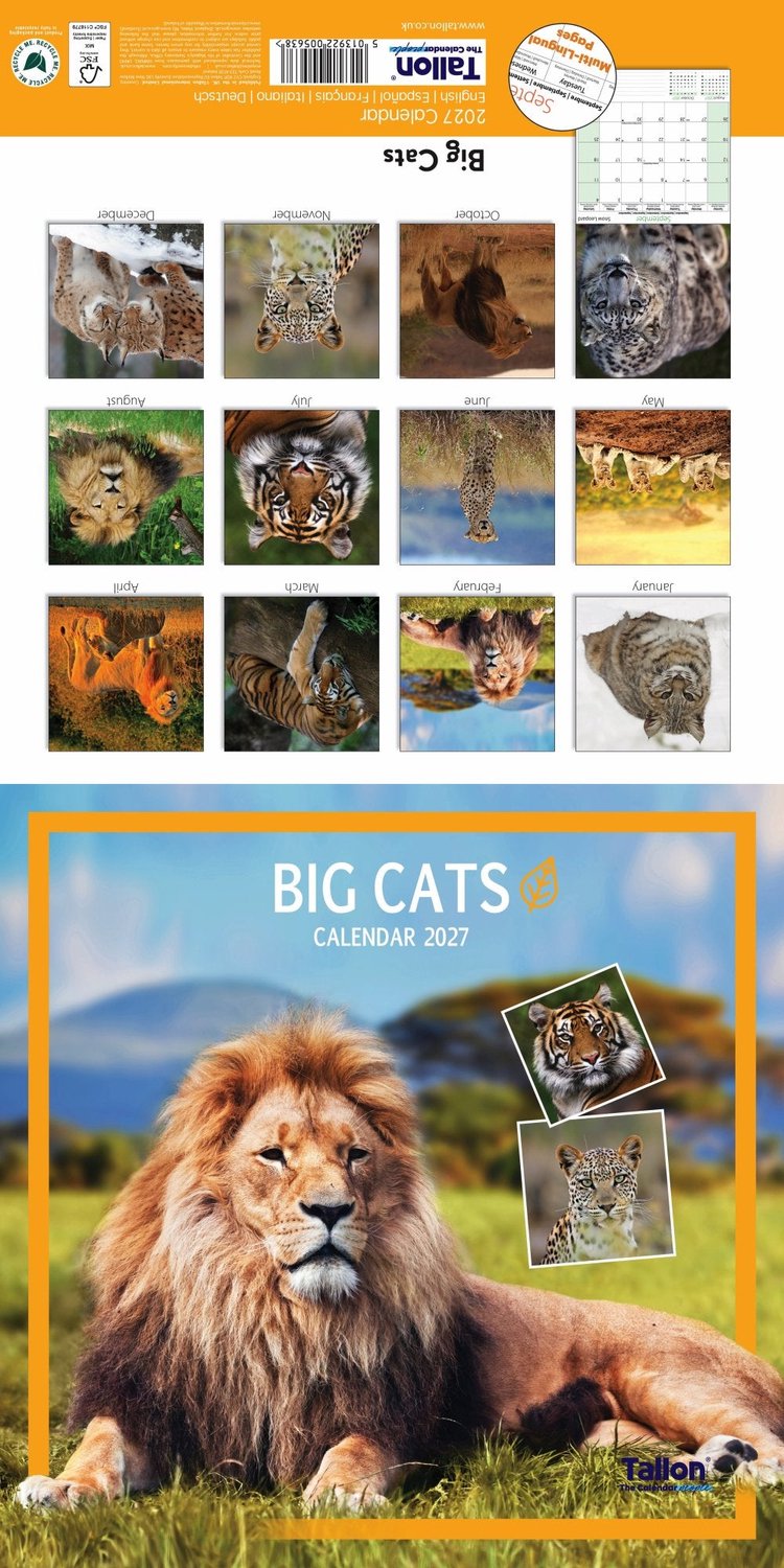 Big Cats, Animals & W Wildlife Kalender 2027