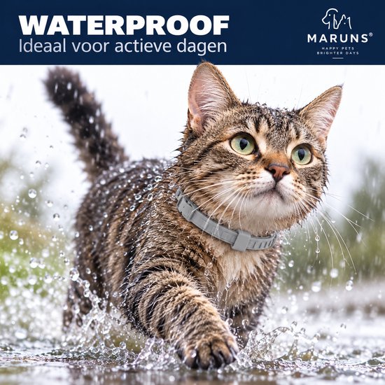 Een natte tabby kat met een grijze halsband rent door plassen water. De tekst 'WATERPROOF' staat bovenaan.