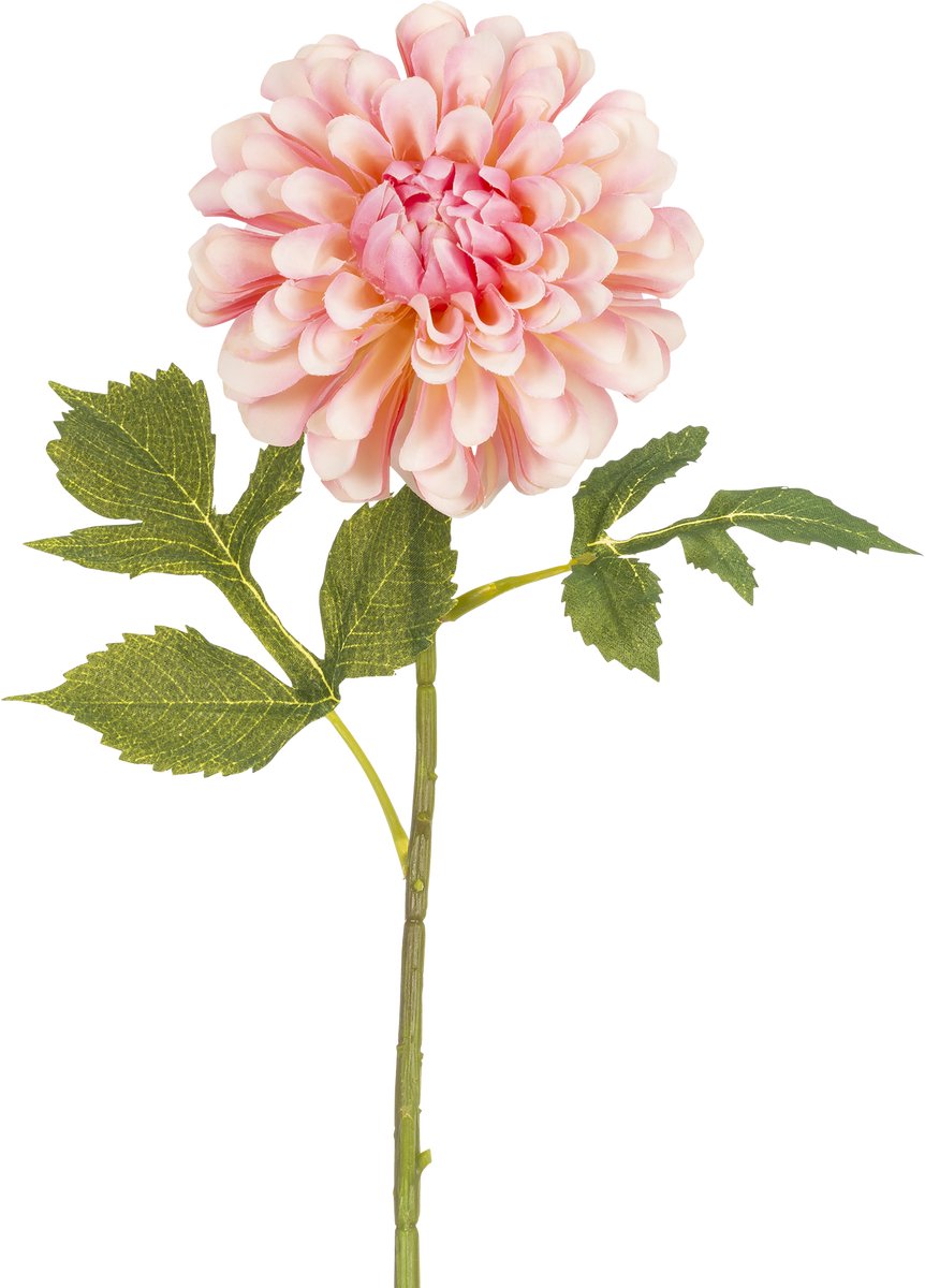 Easyplants | Kunstbloem Dahlia 50 cm roze | Zijde | Nepbloemen | roze | Onderhoudsvrij | Kant-en-klaar