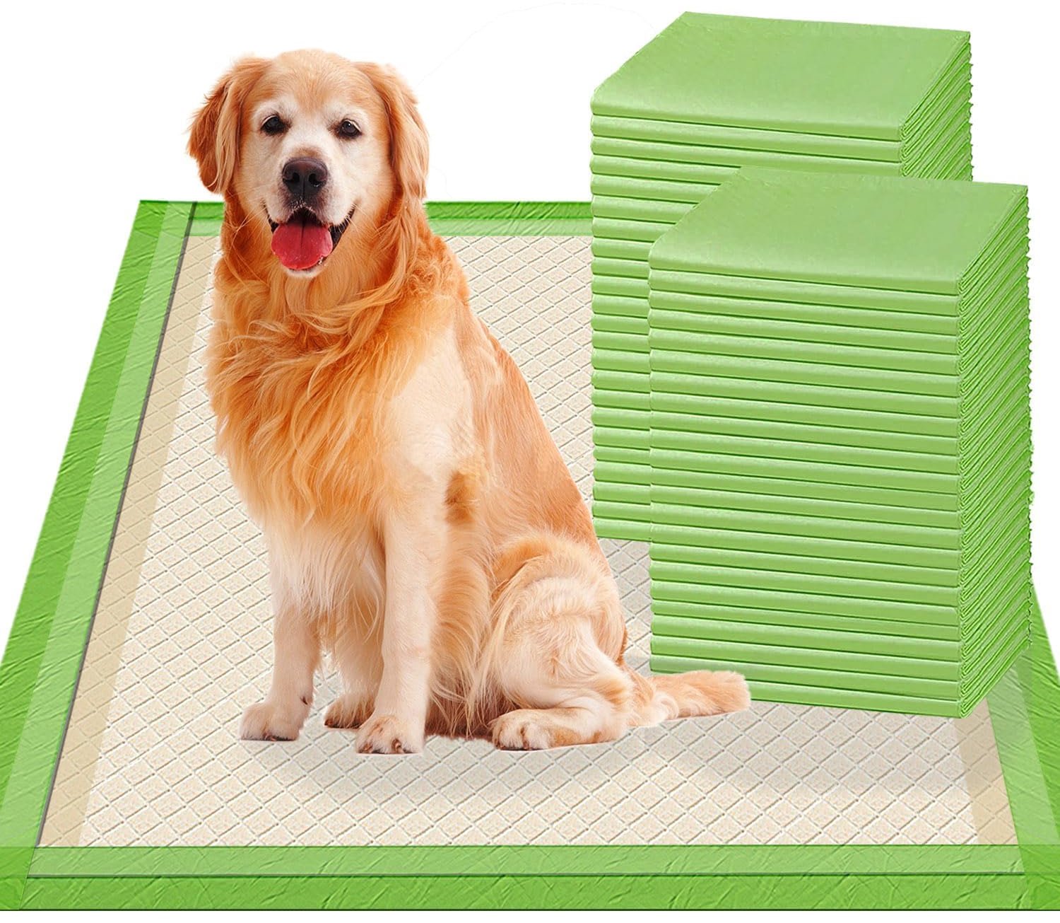 Extra Grote Puppytraining Pads met 6 Lagen