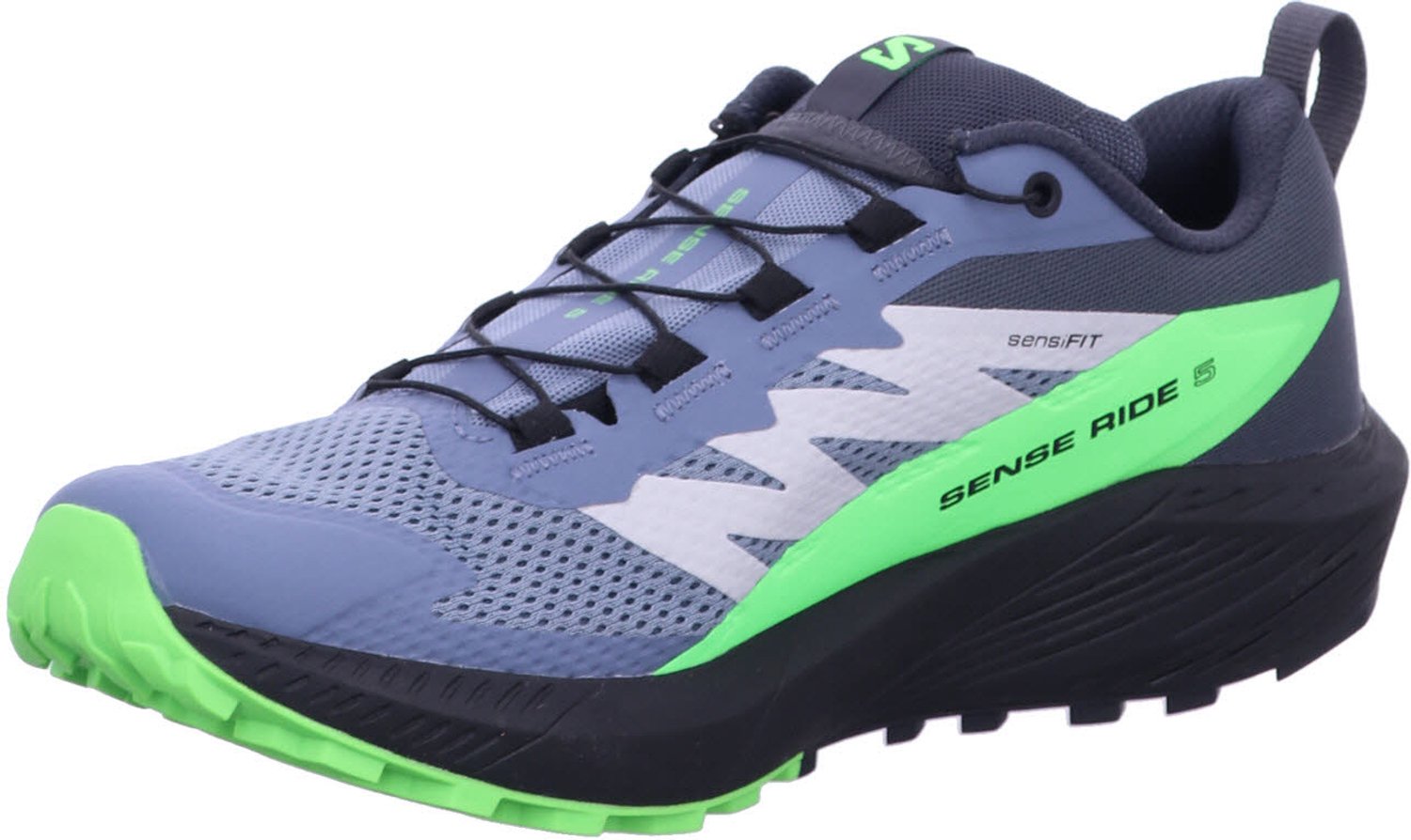 Salomon Sense Ride 5 Goretex Trailrunningschoenen Grijs EU 46 Man