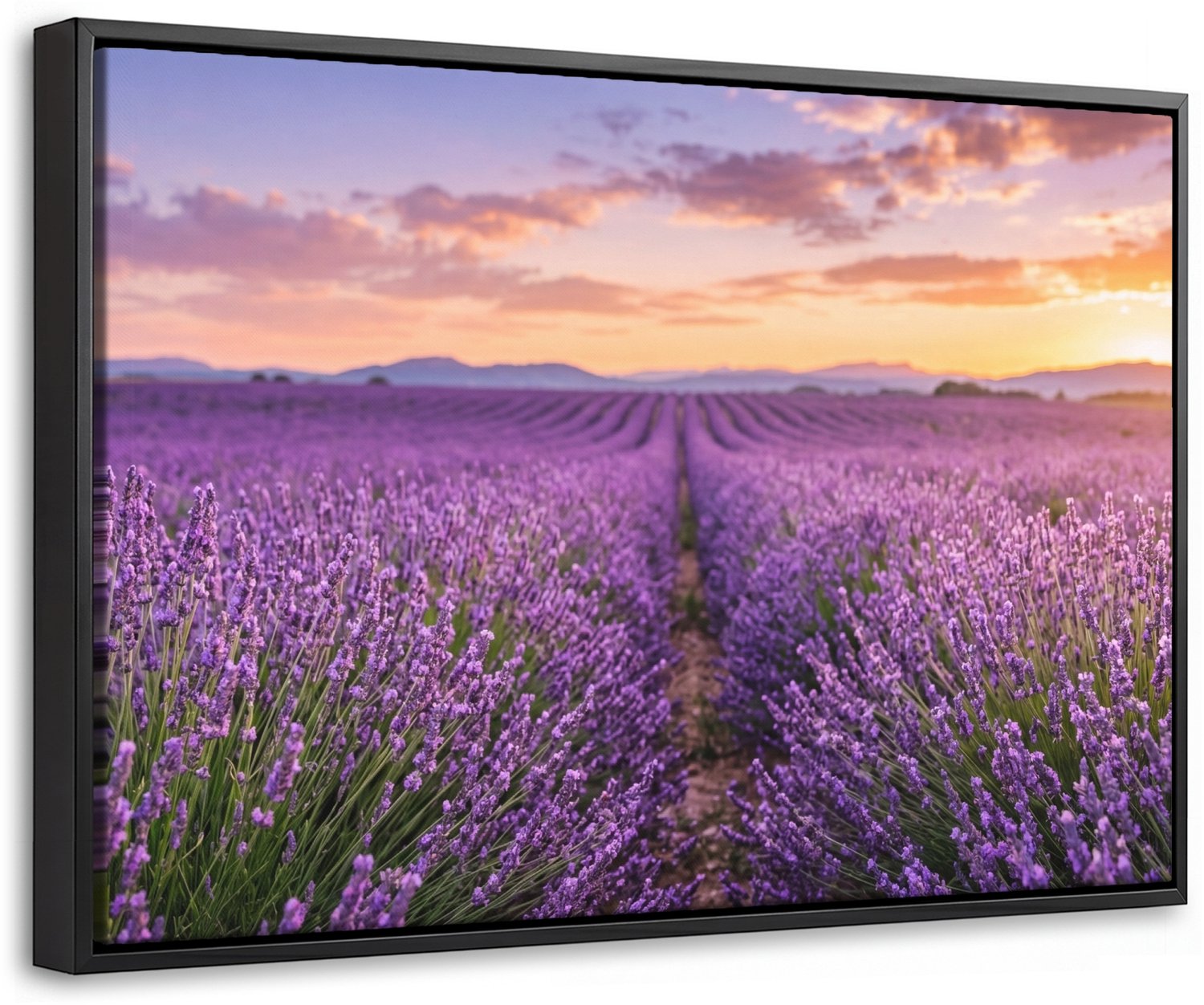 Canvas Schilderij met Baklijst 60x40cm - Lavendel - Veld - Natuur - Paars - Muurdecoratie woonkamer - Slaapkamer decoratie - Kamer accessoires - Schilderijen op canvas met lijst