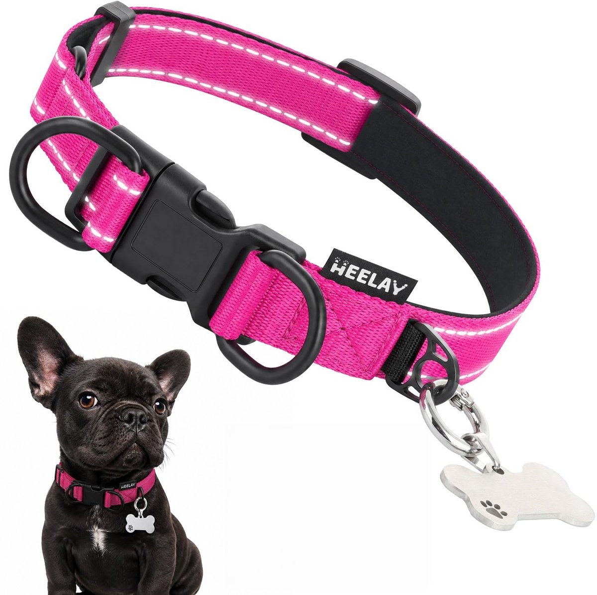 Hondenhalsband met naamplaatje 30-42 cm - zacht gevoerd nylon - reflecterend - veilig voor kleine honden - ShopVlot