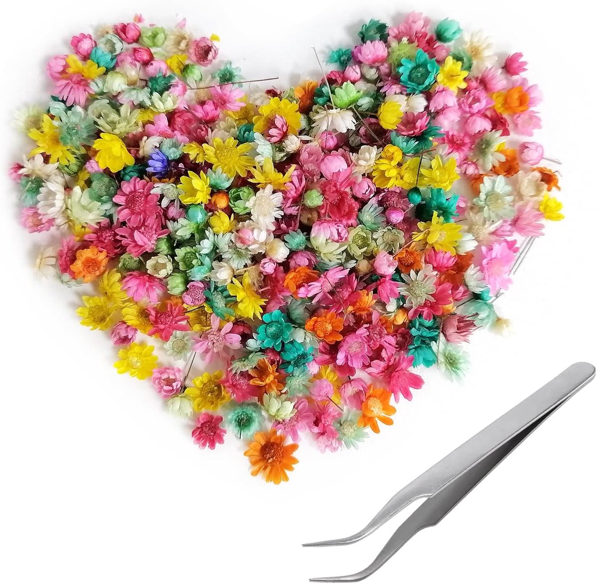 Gedroogde bloemen, droogbloemen om te knutselen, droogbloemen, decoratie voor geurkaarsen, zeepmaken, doe-het-zelf nagelkunst, telefoonhoes, sieraden, oorbellen