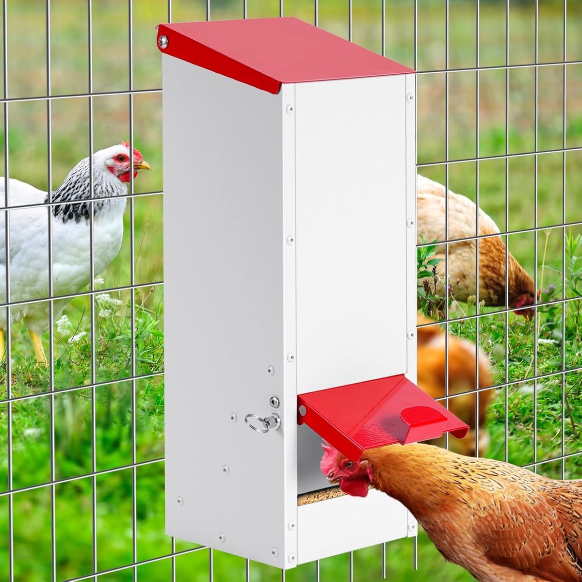 Hangbare metalen voederbak voor kippen met regenbescherming - 3 kg, ideaal voor binnen en buiten gebruik, kippenvoer en kippenaccessoires