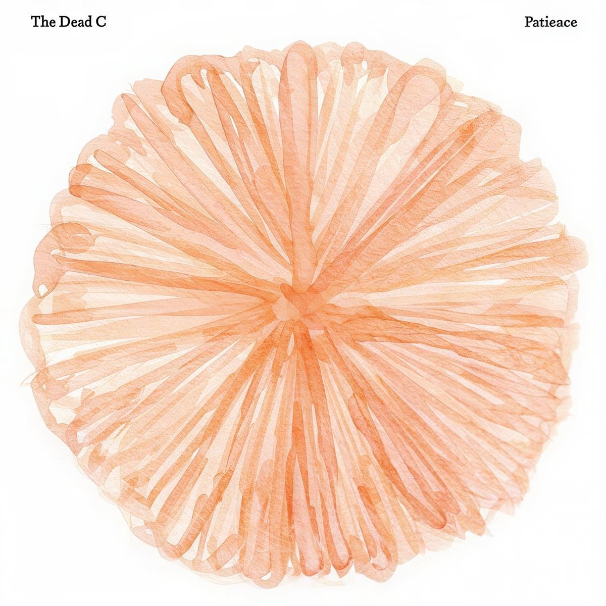 The Dead C - Patience (CD)