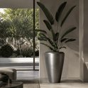 Un grand vase conique argenté à la finition brillante, rempli d'une plante oiseau de paradis aux grandes feuilles.