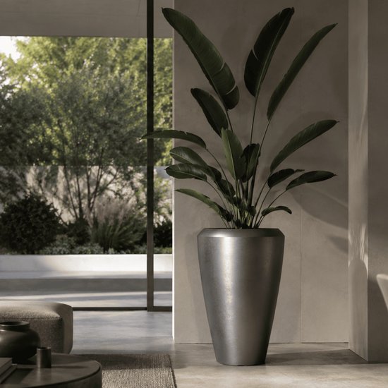 Un grand vase conique argenté à la finition brillante, rempli d'une plante oiseau de paradis aux grandes feuilles.