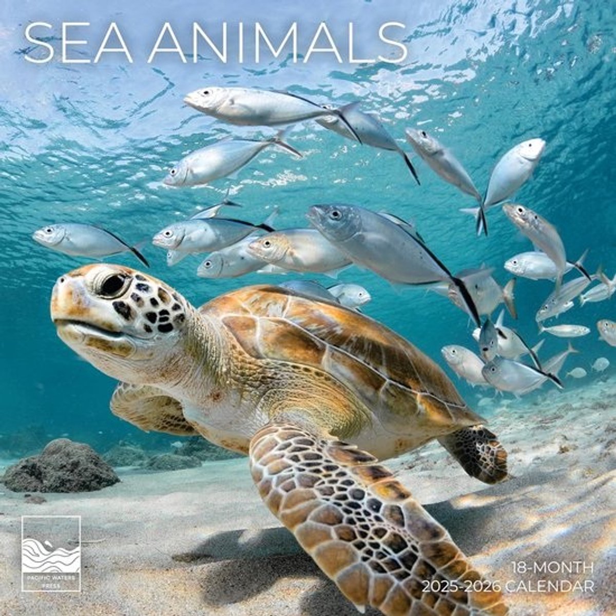 Wandkalender 18 Maanden Juli 2025 - December 2026 - Natuur en Oceaan Thema