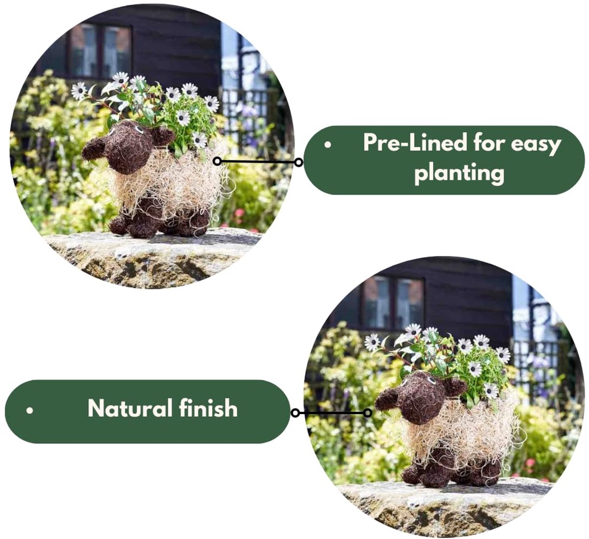 Tuinmijl® Dierlijke Thema Bloemplanten Nieuwigheid Rotan Rietplanten Potten Shelley Schapen en Scottie Hond - ShopVlot