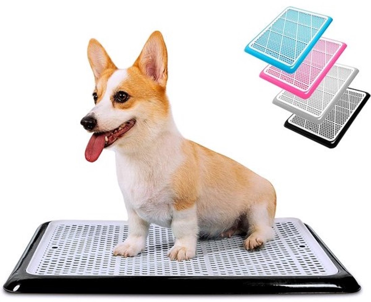 Hond Potty Tray Puppy Plas Pad Houder 25x20 Inch Wee Training voor Kleine en Middelgrote Honden