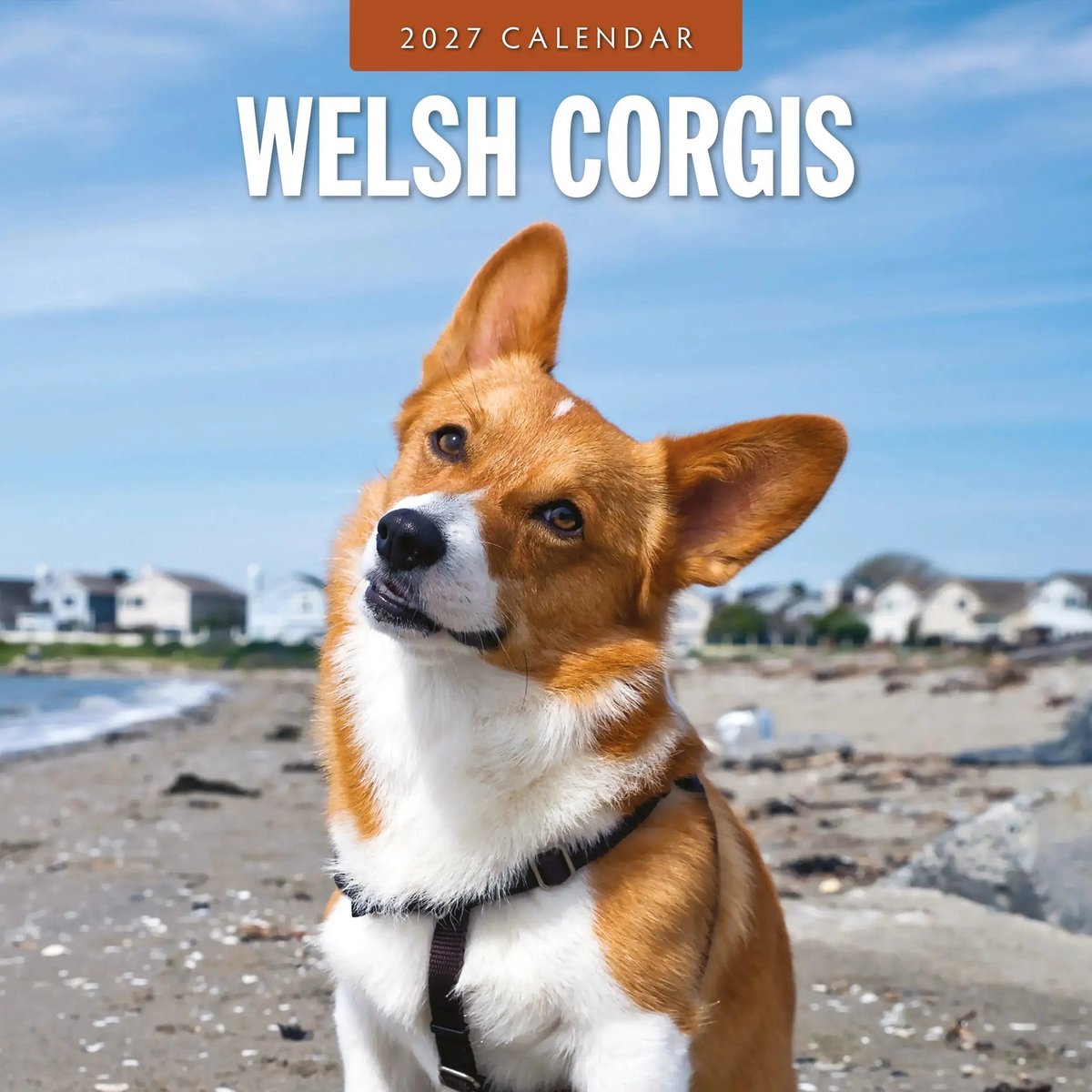 Welsh Corgi Kalender 2027
