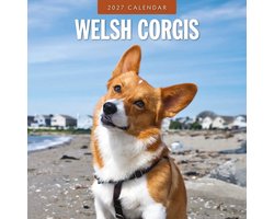 Welsh Corgi Kalender 2027