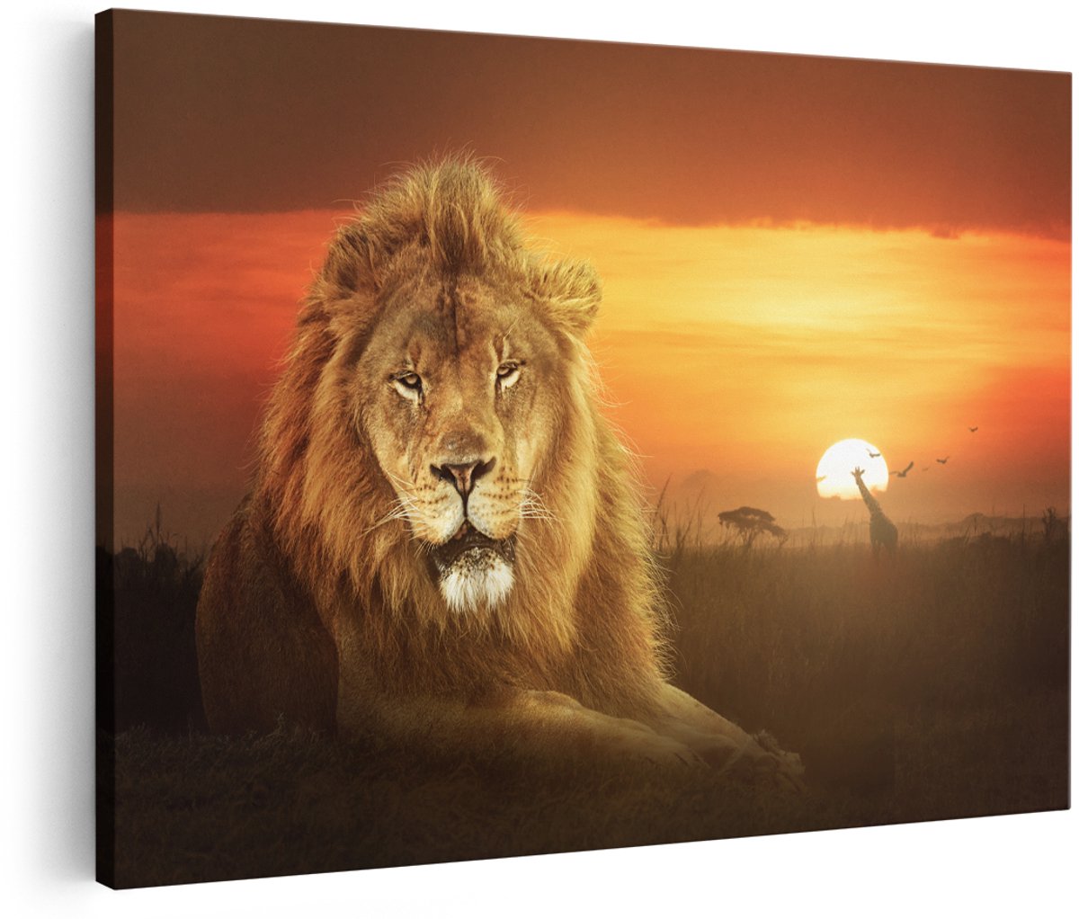Artaza Canvas Schilderij Leeuw In De Savanne - Zonsondergang - 150x100 cm - Groot - Wanddecoratie Woonkamer - Schilderijen - Muurdecoratie