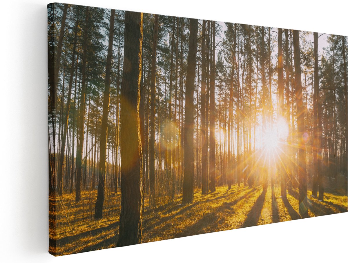 Artaza Canvas Schilderij Zonsopkomst In Het Bos Tussen De Bomen - 140x70 cm - Groot - Wanddecoratie Woonkamer - Schilderijen - Muurdecoratie
