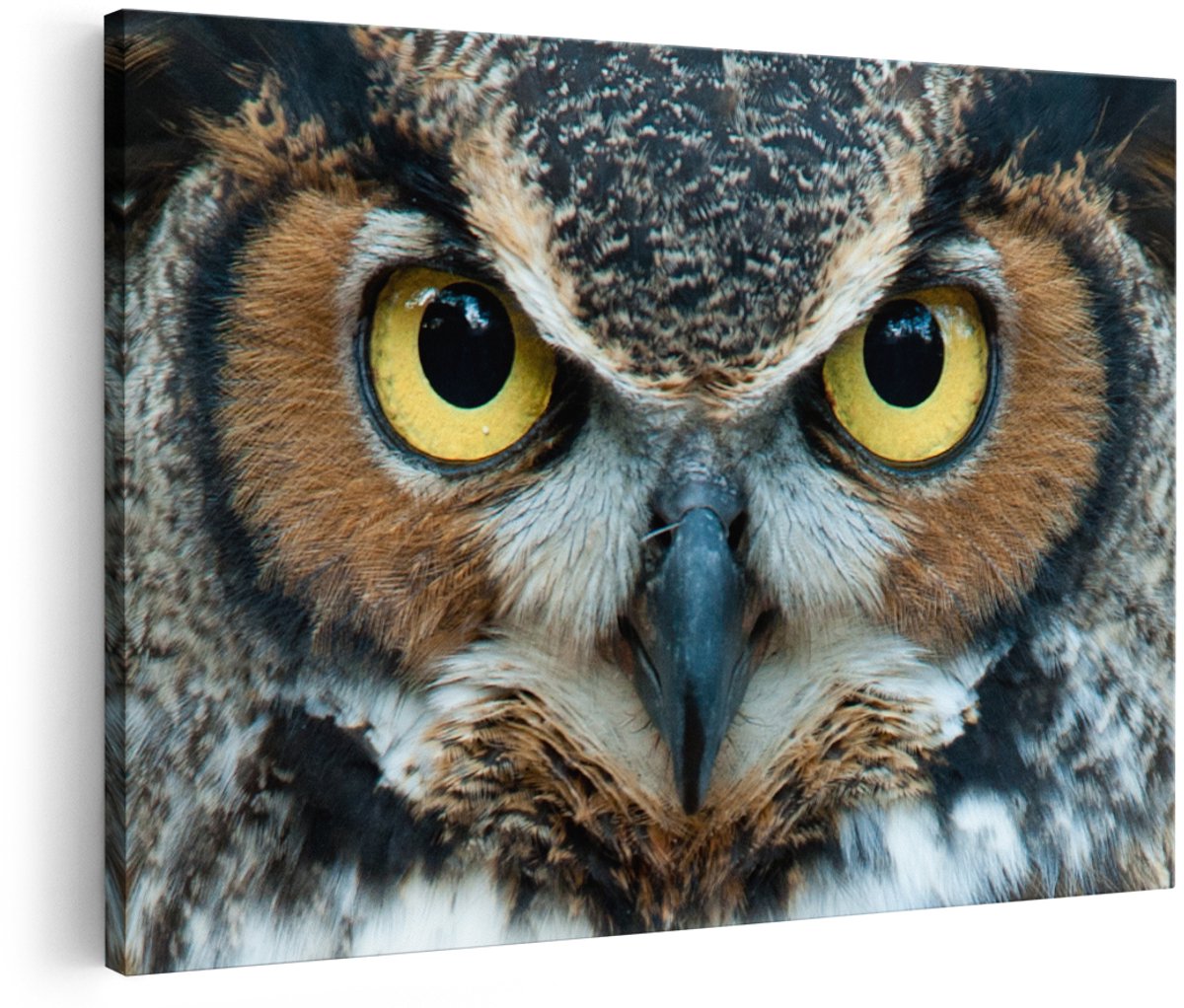 Artaza Canvas Schilderij Uil Kop Met Gouden Ogen - 150x100 cm - Groot - Foto Op Canvas - Wanddecoratie Woonkamer