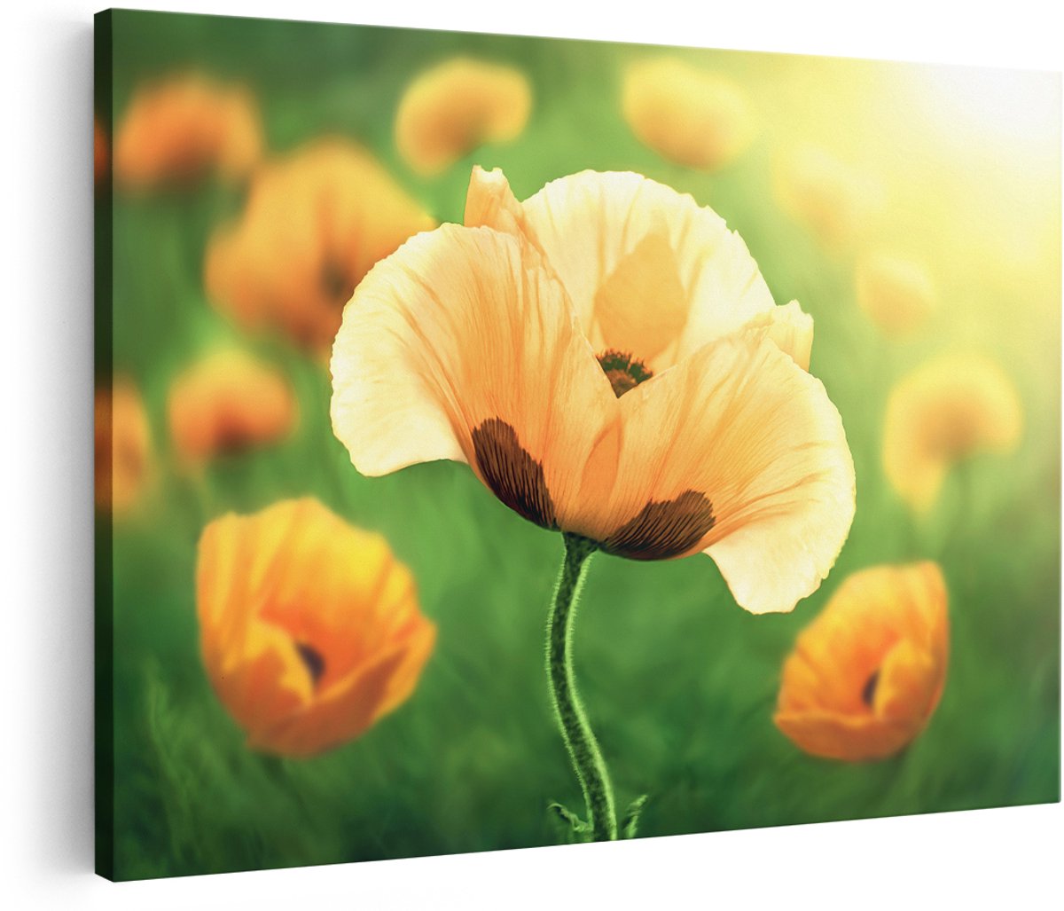 Artaza Canvas Schilderij Oranje Klaproos Bloemen - 150x100 cm - Groot - Foto Op Canvas - Wanddecoratie Woonkamer