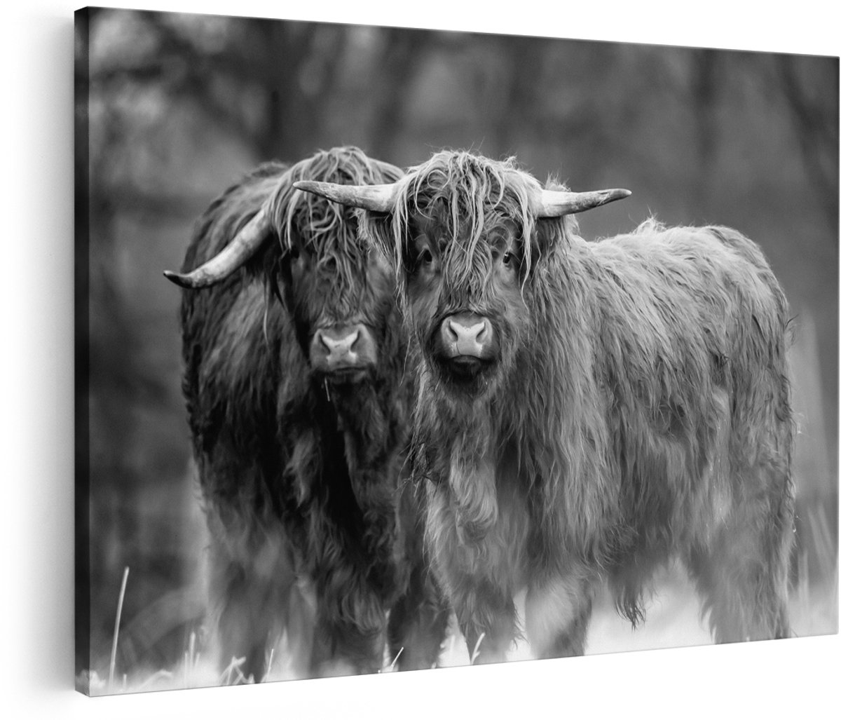 Artaza Canvas Schilderij Twee Schotse Hooglanders in de Sneeuw - Zwart Wit - 180x120 cm - Groot - Foto Op Canvas - Wanddecoratie