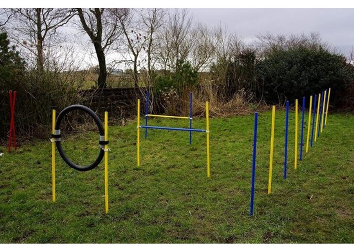 Behendigheid Starterset - Honden Training - Honden Sport - Gereedschapsloos Monteren - Verstelbare Hoogte - Blauw Geel