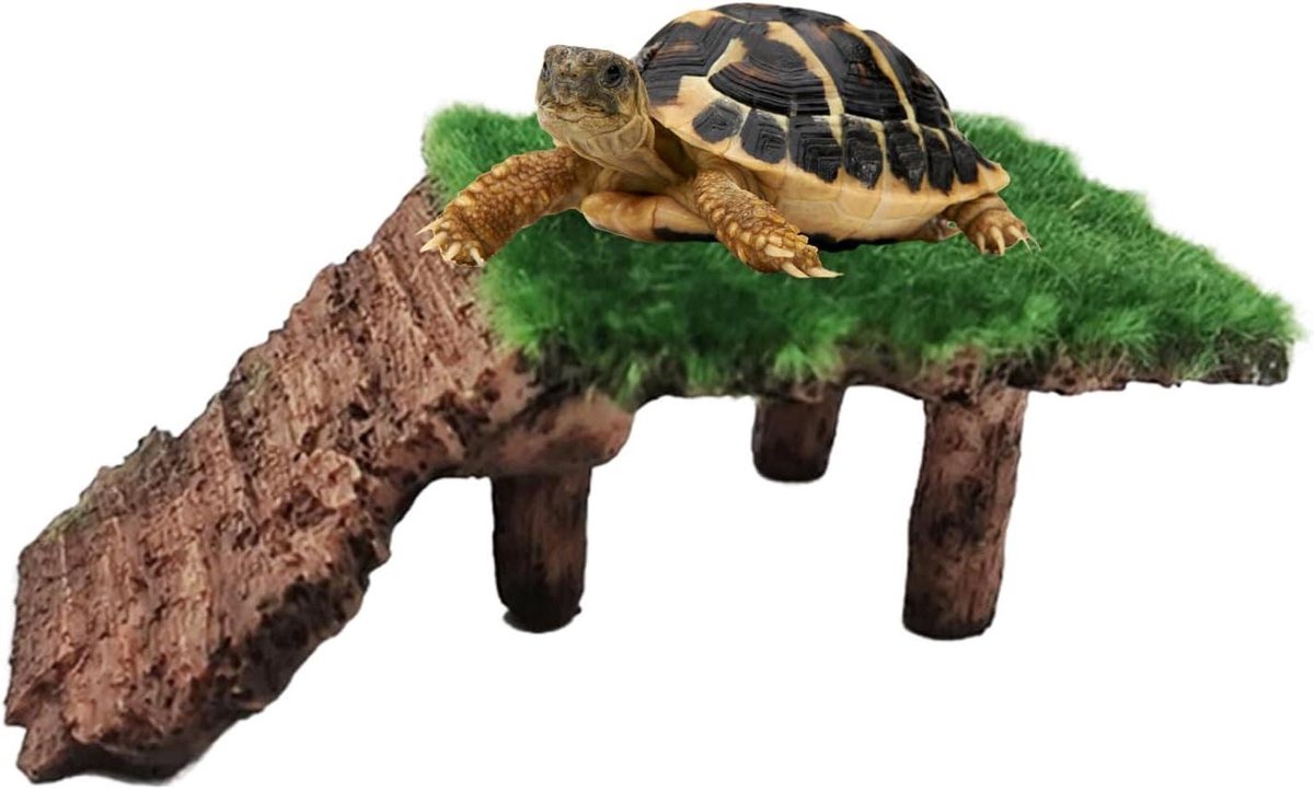 Schildpad Zonneplatform - Reptiel Rustplateau - Reptielen Verzorgen - Natuurlijk Rotsdesign - 6D x 9B x 6H cm - Grijs