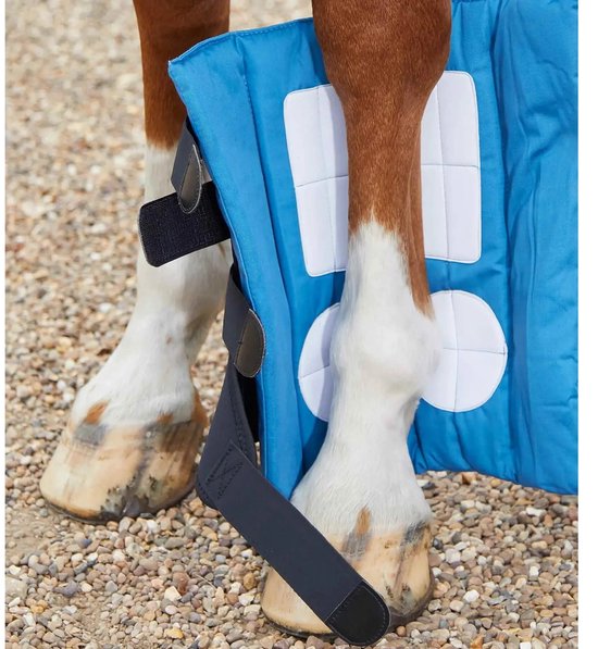De Magni-Teque paardenlaars met blauwe stof en witte vakken om de benen van een paard.