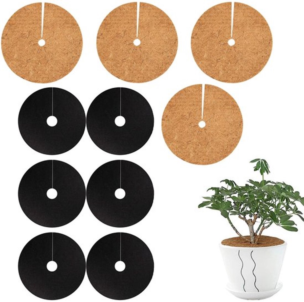 Kokosmat - Bescherming tegen vorst - Kokos-mulchschijf Ø 20 cm - Onkruidmat Ø 15 cm - Set van 4 + 6 - Biologisch afbreekbaar - Plantenbeschermingsmat