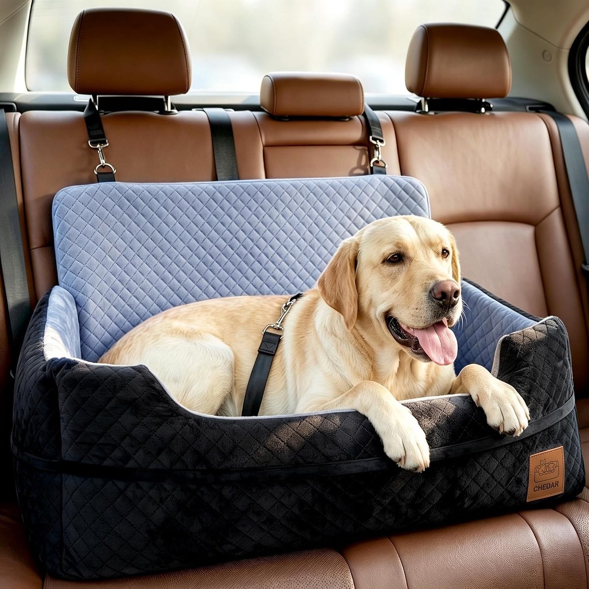 Honden autostoel - Zwart - 71 x 46 x 44 cm - Traagschuim met Afneembare Hoes - Voor Grote Honden