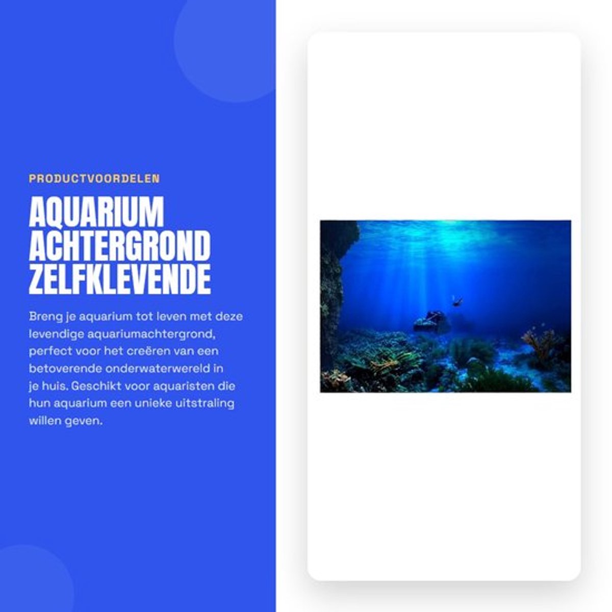 Aquariumachtergrond 3D-effect - Zelfklevende Poster - Decoratie - PVC - Onderwaterwereld - 61 x 41 cm - Aquariumdecoratie