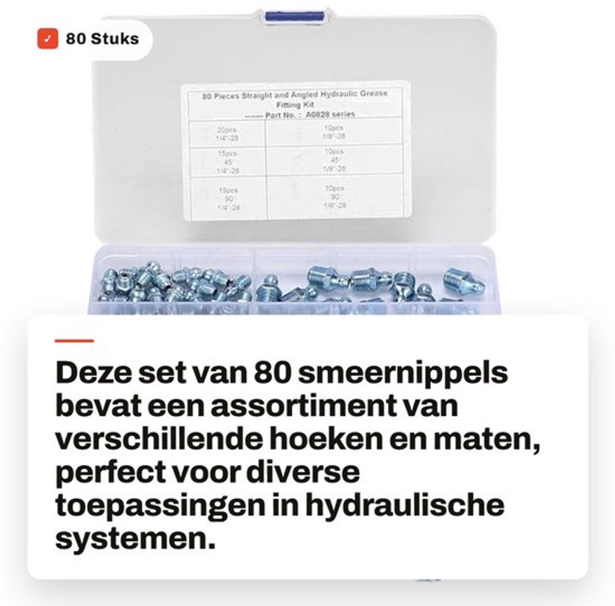 Smeernippel Set 80 Stuks - 45°/90°/180° Mondstukken - 1/8in/1/4in - Zink/IJzer - Transparante Doos - Vetspuit