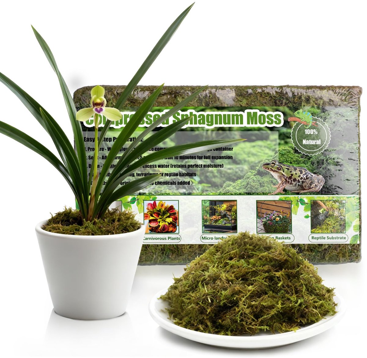 Natuurlijk Torfmoos, 150 g voor Orchideeën, Sukkulenten en Reptielen