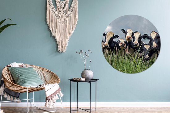 Ciel gris au dessus du troupeau de vaches frisonnes Cercle mural aluminium ⌀ 90 cm - tirage photo sur cercle mural / cercle vivant / cercle de jardin (décoration murale)