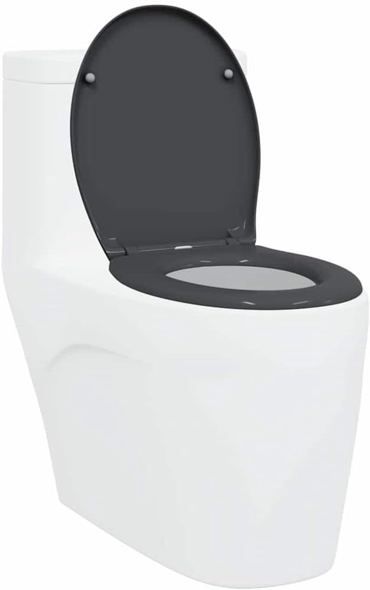 Toiletbril - Zitting Deksel - Badkamer Vernieuwen - Snelmontage Systeem - 44.7 x 37 cm - Antraciet Mat