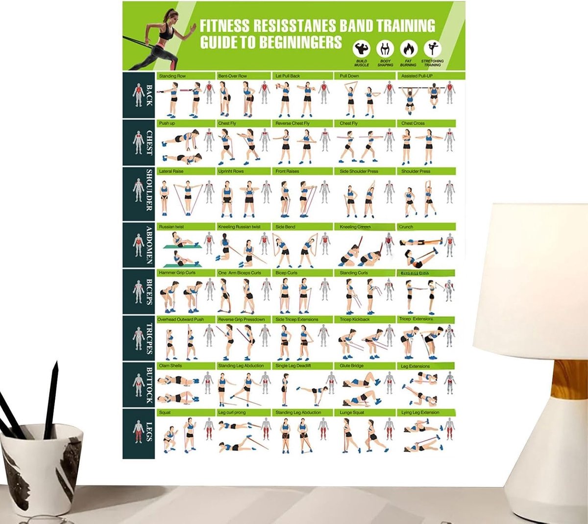 Gym Posters - Trainingskaarten - Thuis Fitness - Geleide Posities - 428 x 574 cm - Enkele Attribuut