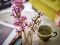 Twee LEGO kersenbloesem takken met roze en witte bloemen in een glazen vaas.