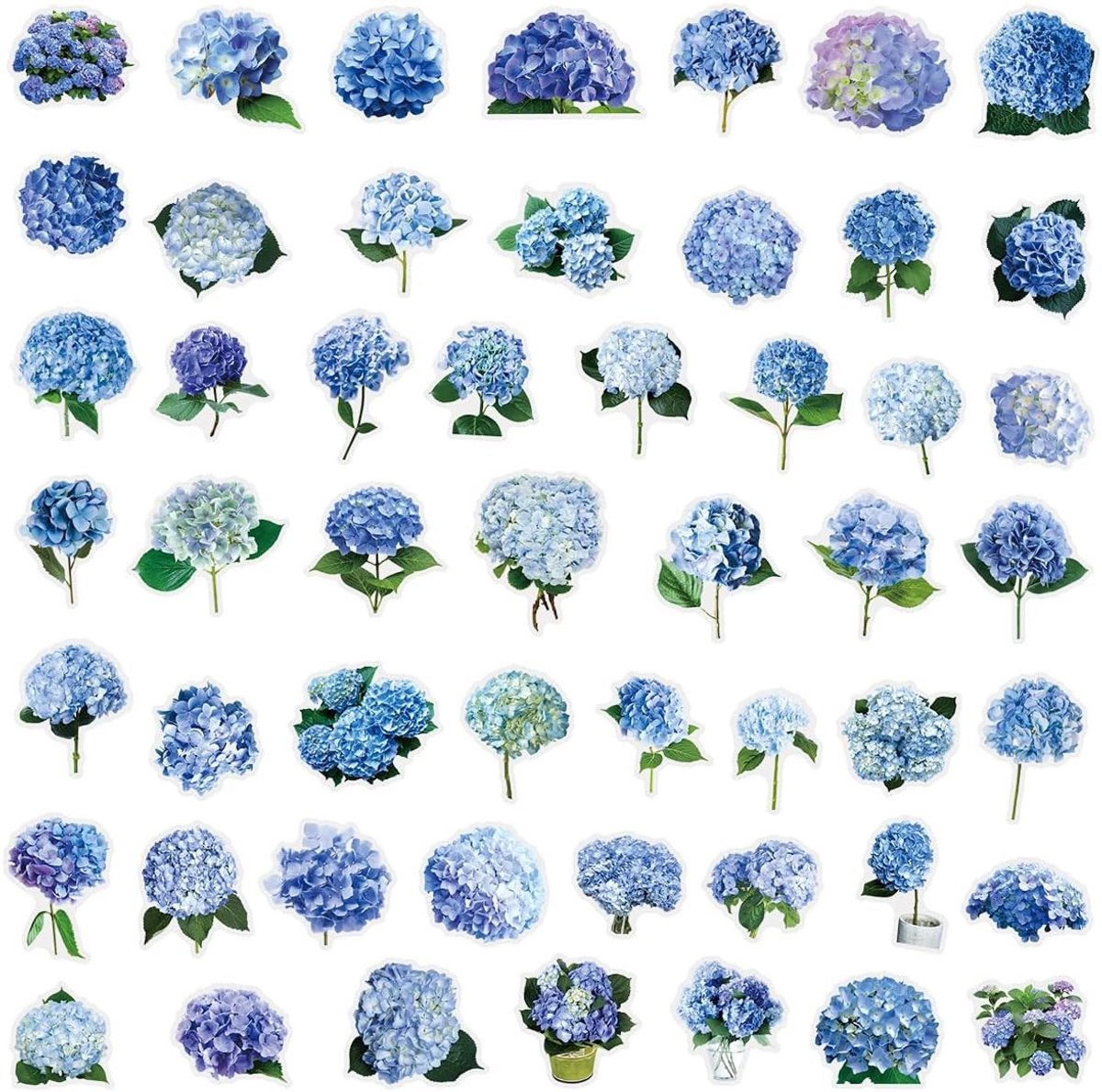 50 Hydrangea Stickers voor Skateboards, Motoren, Fietsen en Koffers - Waterdichte Vinyl Stickers voor Kinderen en Tieners