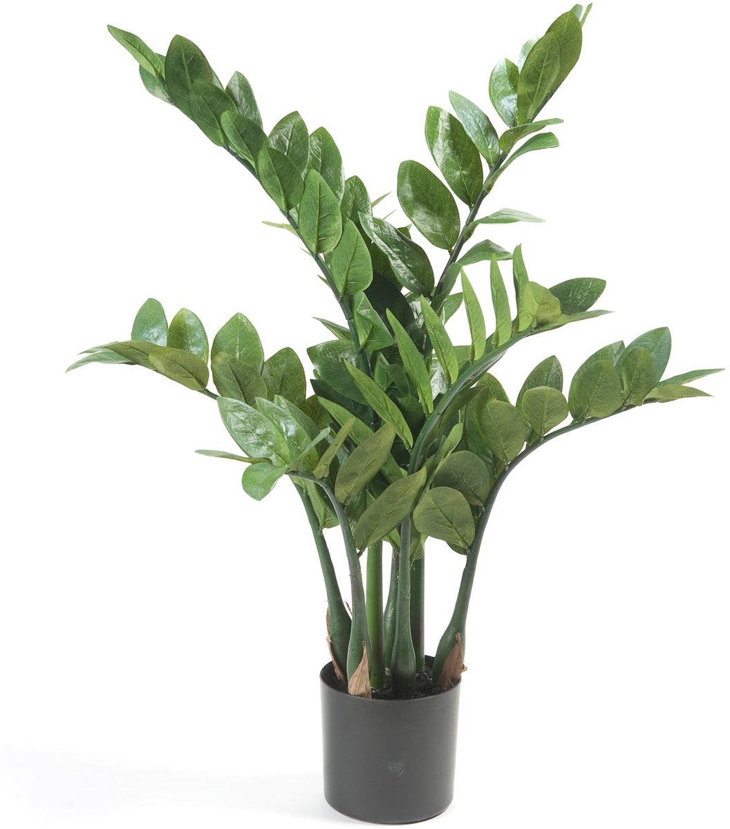 Emerald Kunstplant Zamioculcas 70cm - Kunstplant voor binnen Groen