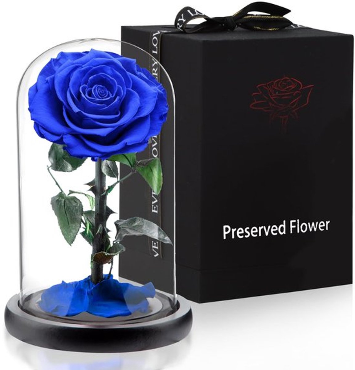 Roos in Glazen Kooi - Echte Rozen - Cadeau voor Vrouwen - Verpakking 14 x 24 cm - Handgema