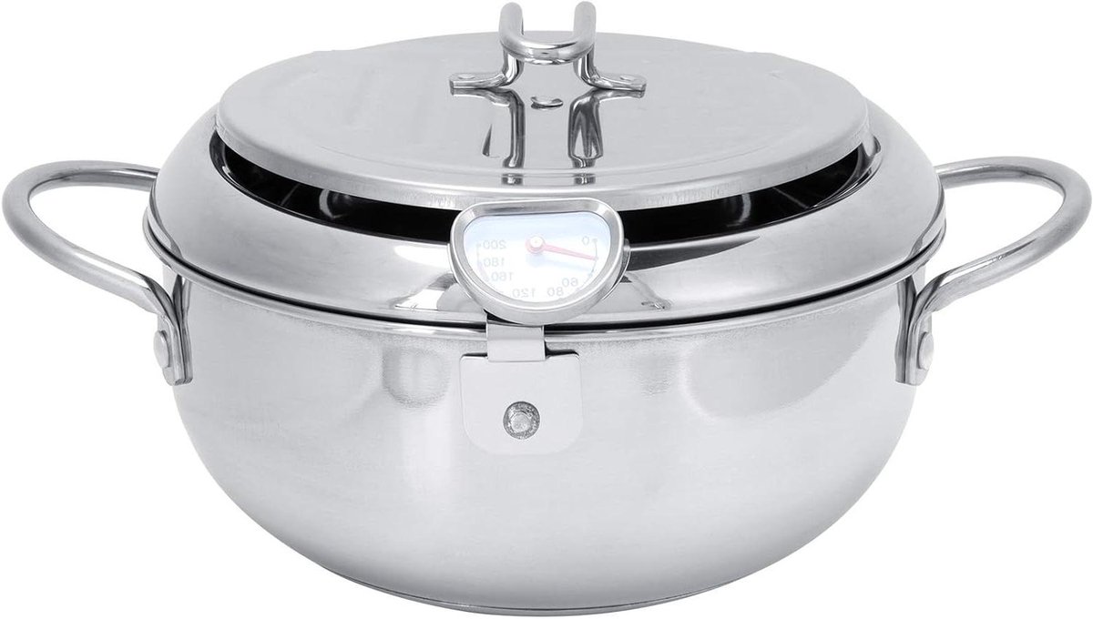Mini Friteuse - Kleine Frituurpan - Thuis Frituren - Met Ingebouwde Thermometer - 2.2L - Zilver