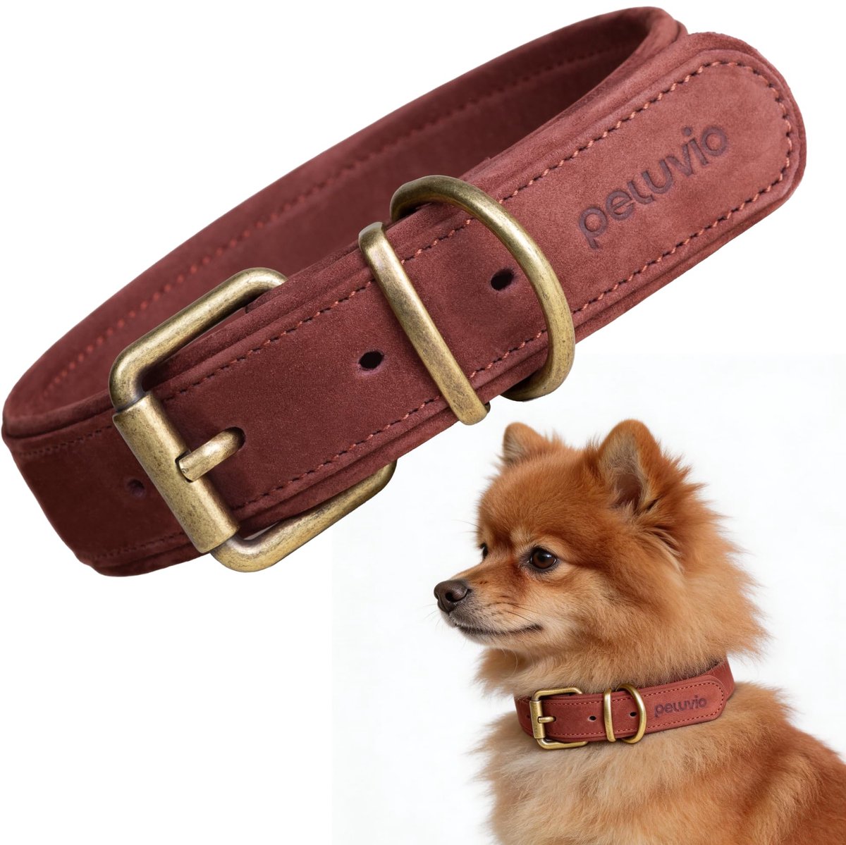 SnelShoppen - Leren Hondenhalsband van Echt Rundleer, Verstelbare Halsband met Sterke Koperen Gesp, Comfortabele en Duurzame Hondenband voor Kleine, M