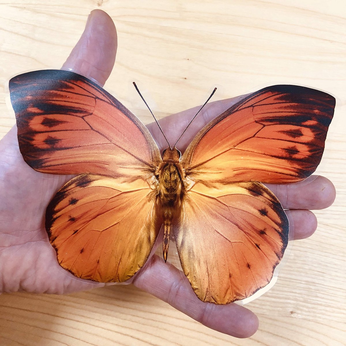 SnelShoppen - 16 Dubbelzijdige Vlinder Raamstickers - Zelfklevend en Prachtige Decoratie voor Bescherming tegen Vogelaanvaringen - Ideaal voor Thuis,