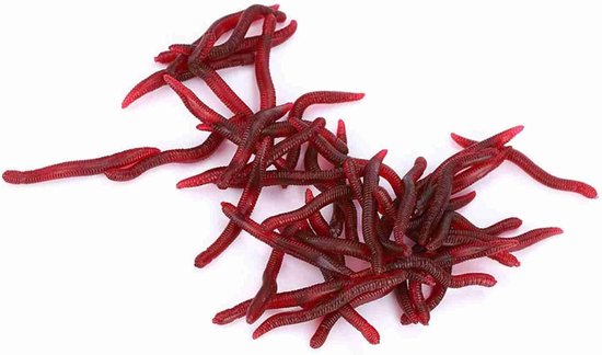 Kunstwormen VIsaas - Zachte Lokaas Regenworm - Vissen Vangen - Realistische Zwemactie - 4 cm - Rood — afbeelding 2